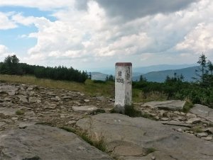 Bieg sztafetowy Straży Granicznej „Wokół Niepodległej” 