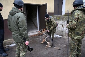 Przewodnik przygotowuje psa przed przeszukaniem pomieszczeń 